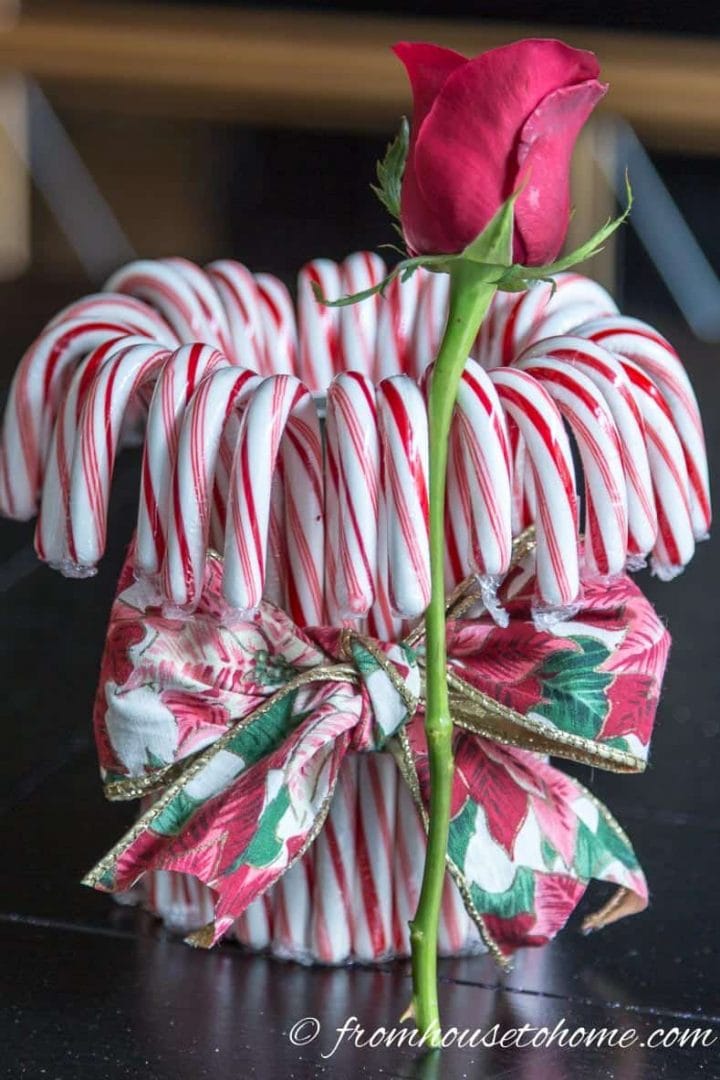 A cut rose in front of the red and white candy cane vase