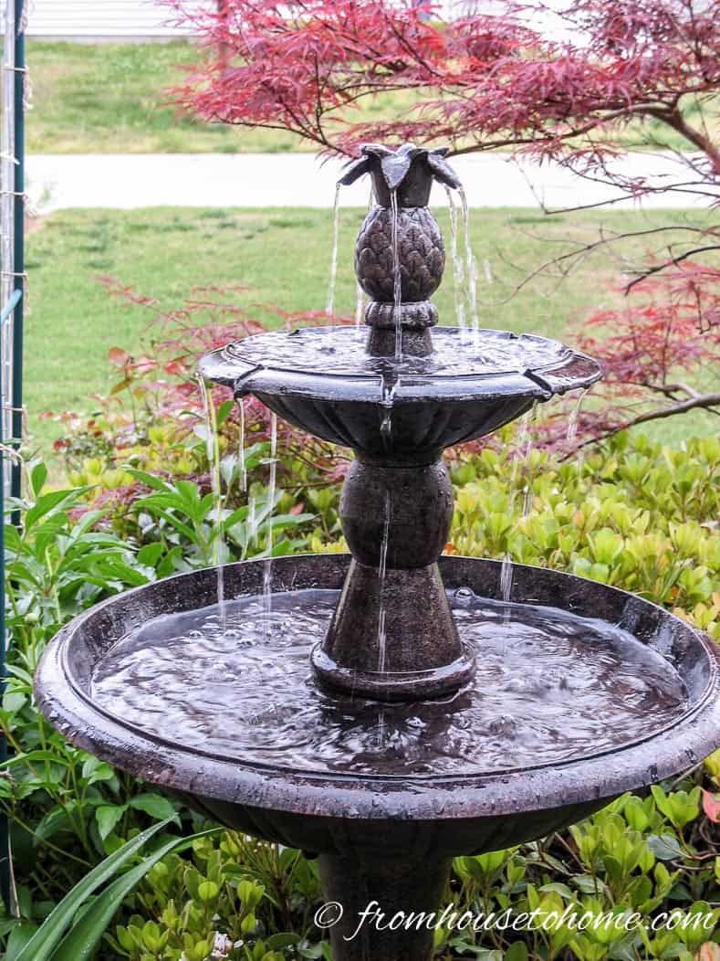 A fountain or mister provides water for hummingbird baths
