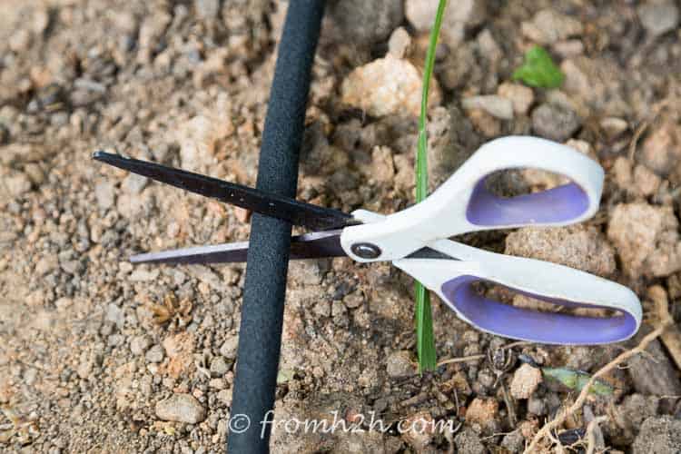 Scissors cutting a soaker hose