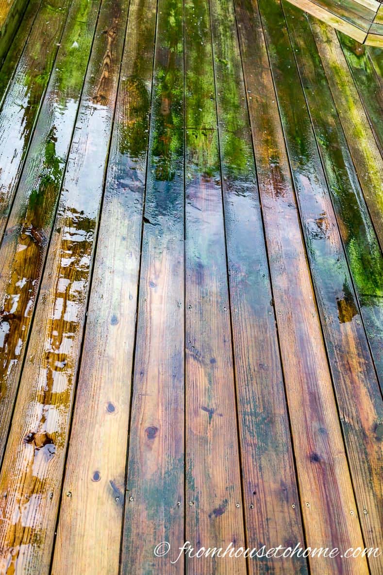 The deck after being rinsed ...guess which part has been washed... | The Best (Inexpensive and Eco-Friendly) DIY Deck Cleaner Ever!