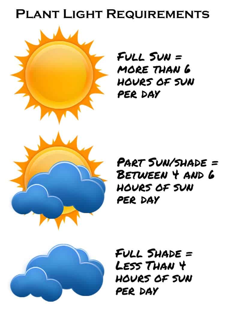 Diagram of the plant light requirements for full sun, part sun and full shade