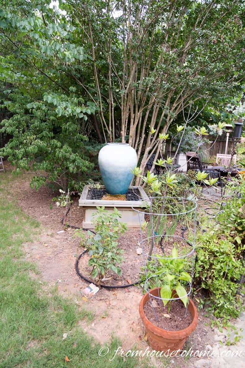Flower garden with a soaker hose laid out