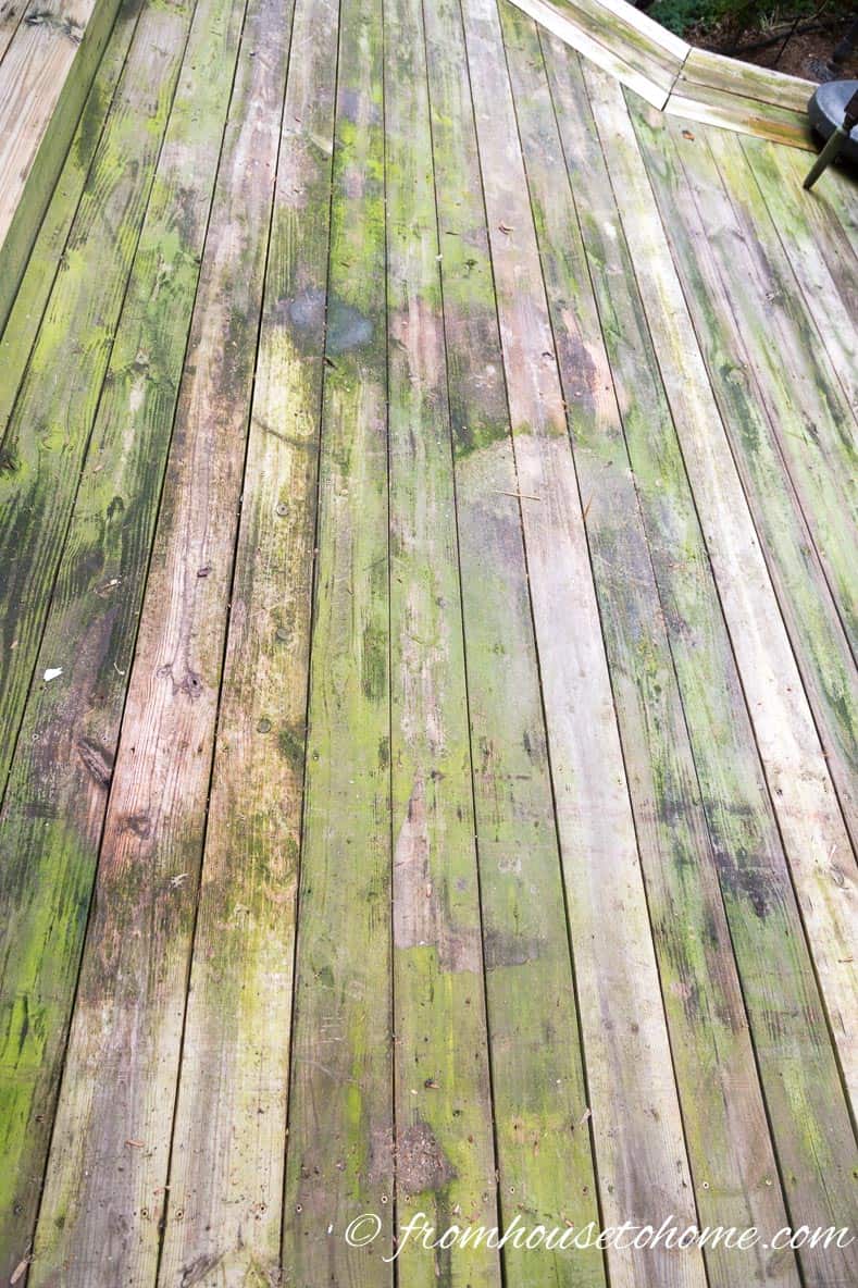 The Deck "Before" using the best (inexpensive and non-toxic) homemade deck cleaner ever!