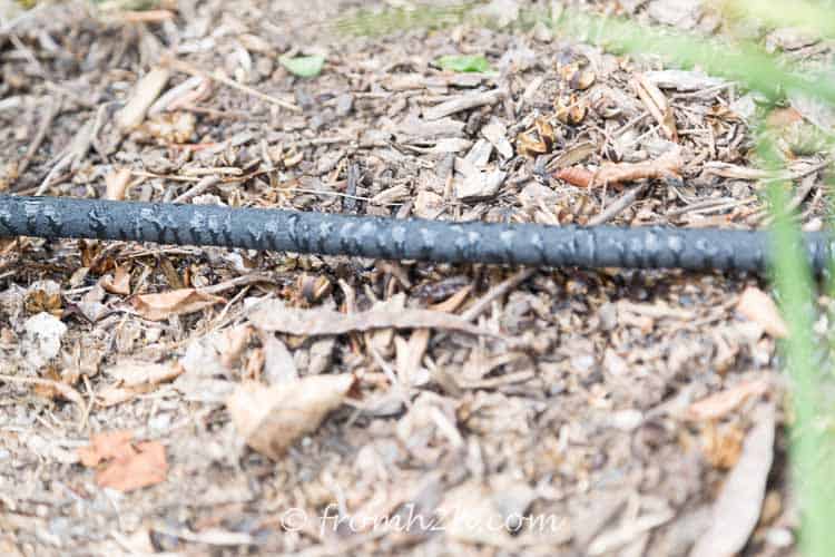 Soaker hose with water dripping from it