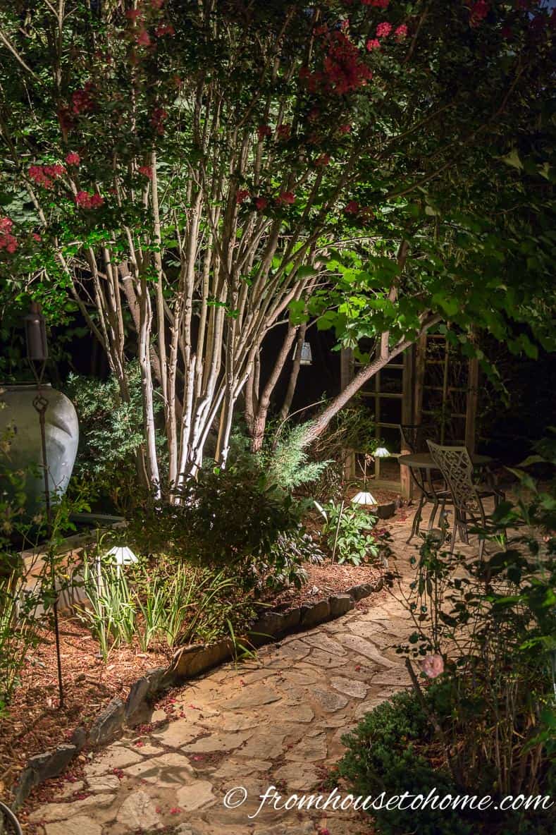Uplighting interesting tree trunks