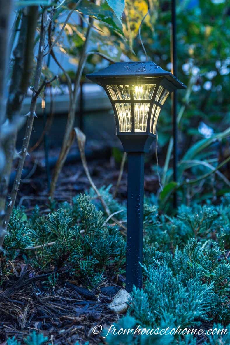 Close up of a solar path light in the garden