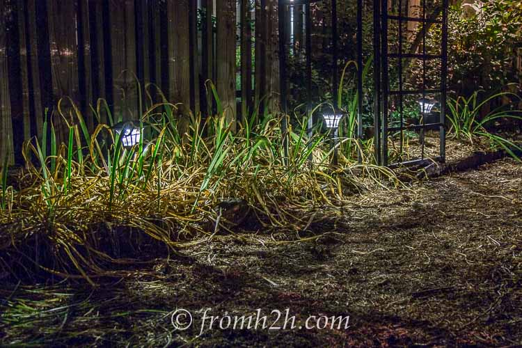 Solar lighting is easy to install | 10 Beautiful Ways To Light Your Garden