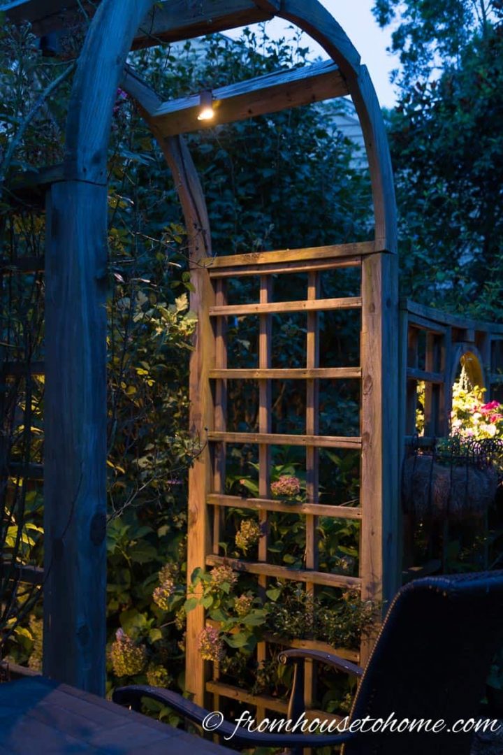Downlighting in an arbor in the garden