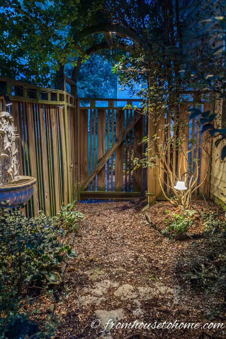A garden path with path lights and overhead downlighting
