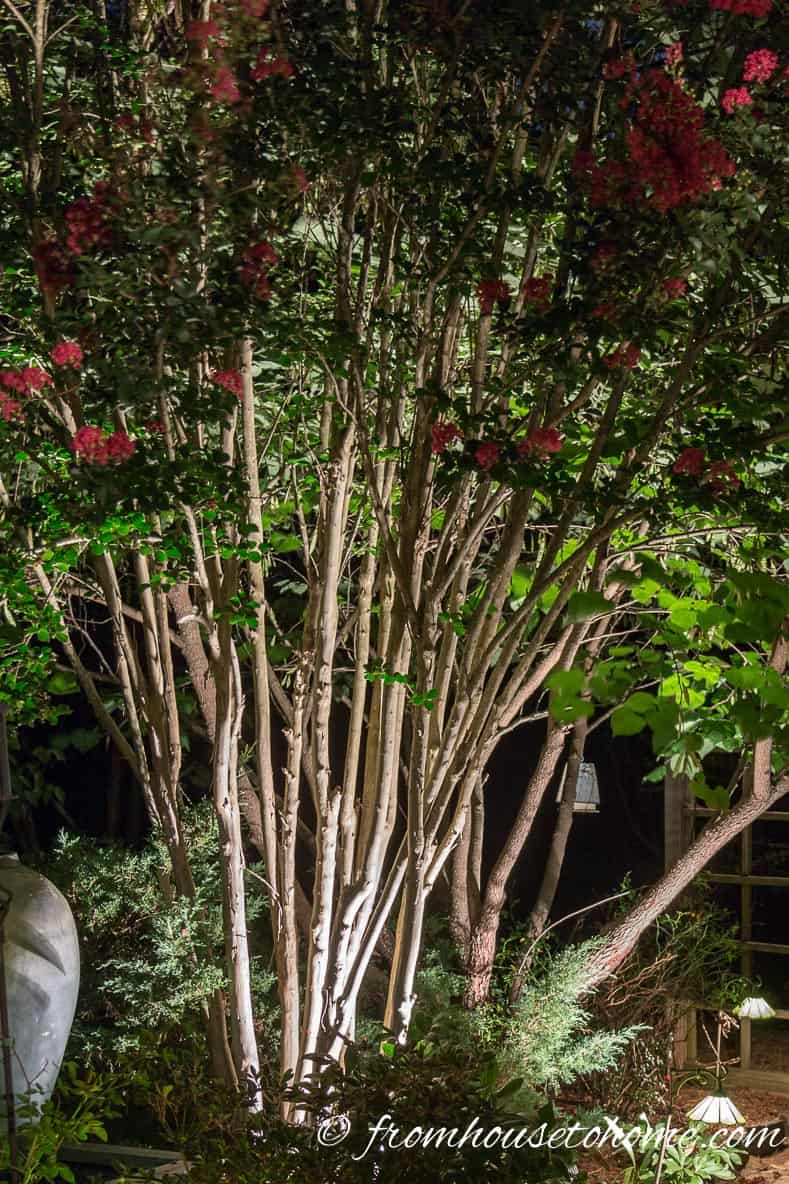 Uplight interesting tree trunks | 8 Landscape Lighting Effects And How To Use Them | Whether you're looking for DIY landscape lighting ideas for your front yard, backyard or walkway, this list will help! It shows you lots of ways to use both low voltage and solar lights in your garden or patio.
