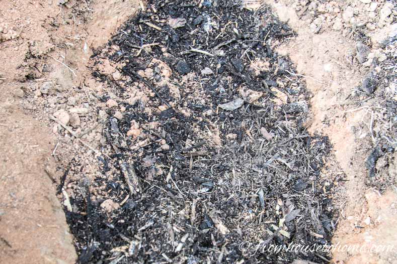The hole filled with soil mixed with compost