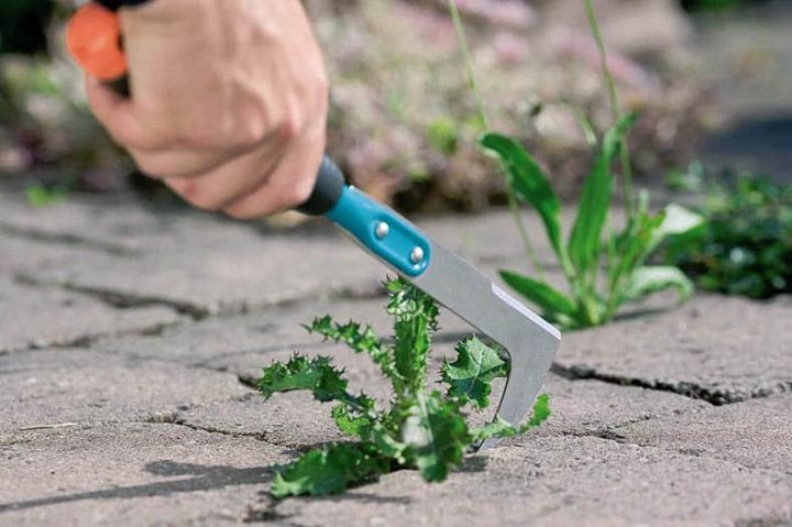 Crevice weeding tool