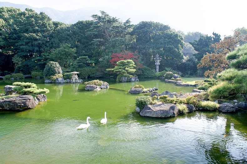 Japanese garden pond with landscaping