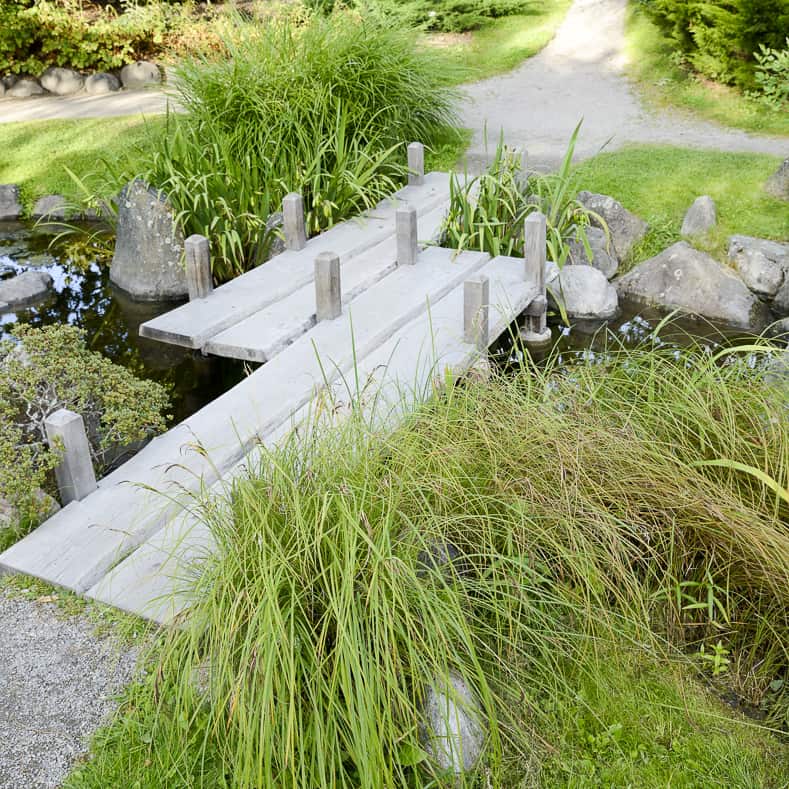 10 Elements of a zen Japanese garden