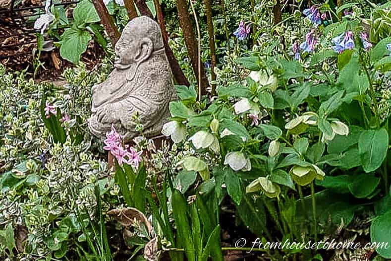 Hellebores, Hyacinths and Virginia bluebells blooming in a garden bed