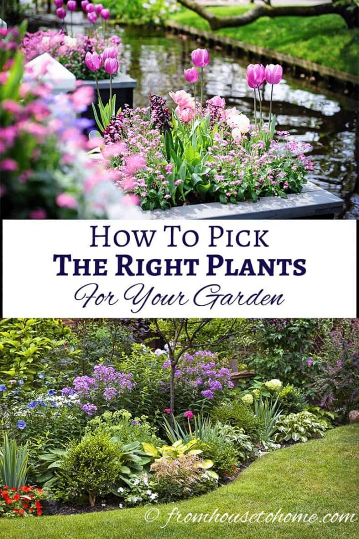 How To Choose The Best Plants For Your Garden