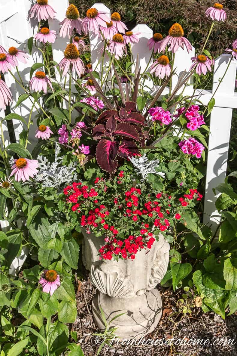 The No-Fail Method for Planting Beautiful Containers | I use this formula to plant all of my outdoor containers. It never fails to produce beautiful planters that are easy to create.
