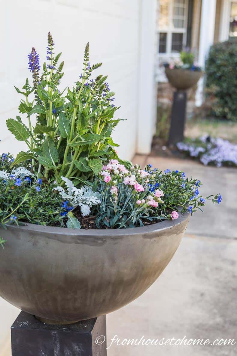 The No-Fail Method for Planting Beautiful Containers | I use this formula to plant all of my outdoor containers. It never fails to produce beautiful planters that are easy to create.