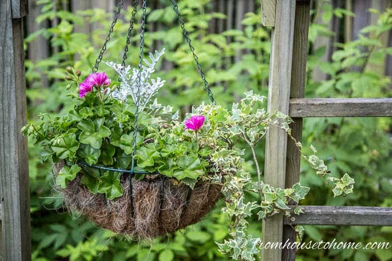 The No-Fail Method for Planting Beautiful Containers | I use this formula to plant all of my outdoor containers. It never fails to produce beautiful planters that are easy to create.