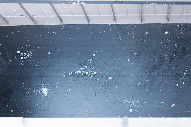 Storage box sprayed with natural spider repellent