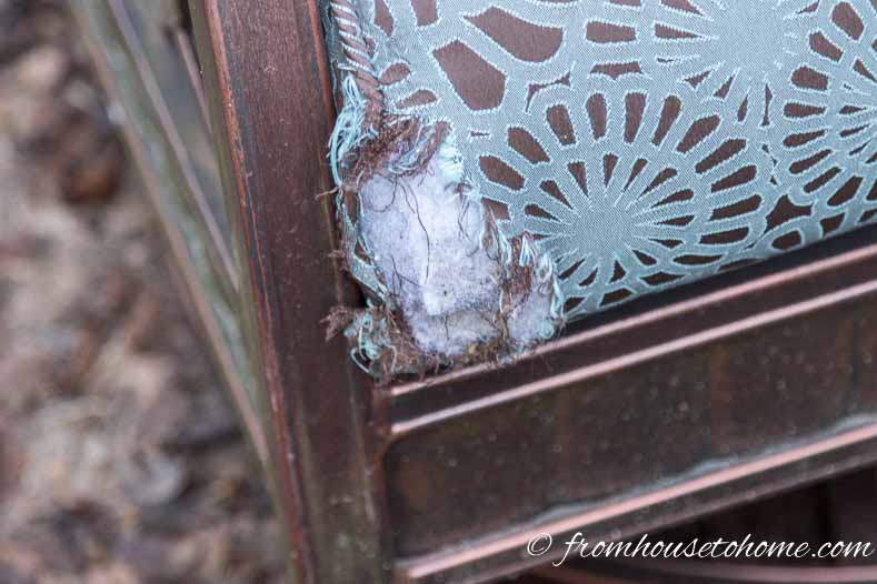 Outdoor chair cushion with corner chewed by a mouse