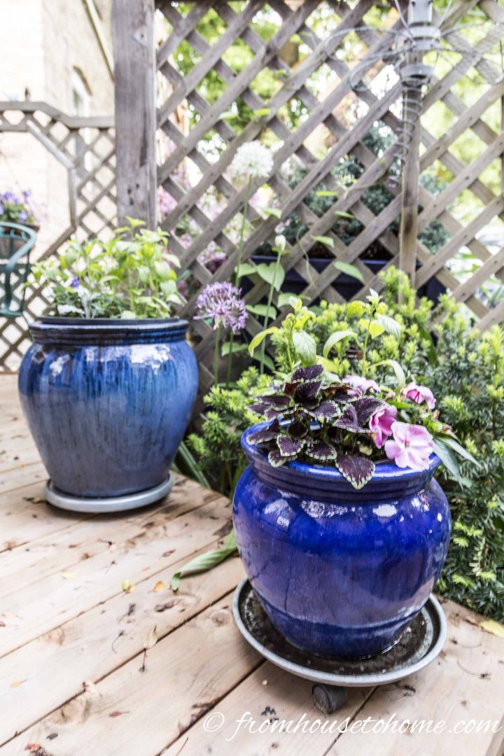 Blue containers in the shade