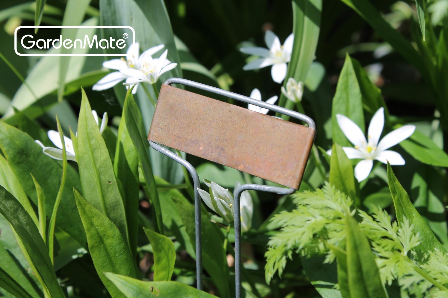 write-on plant labels
