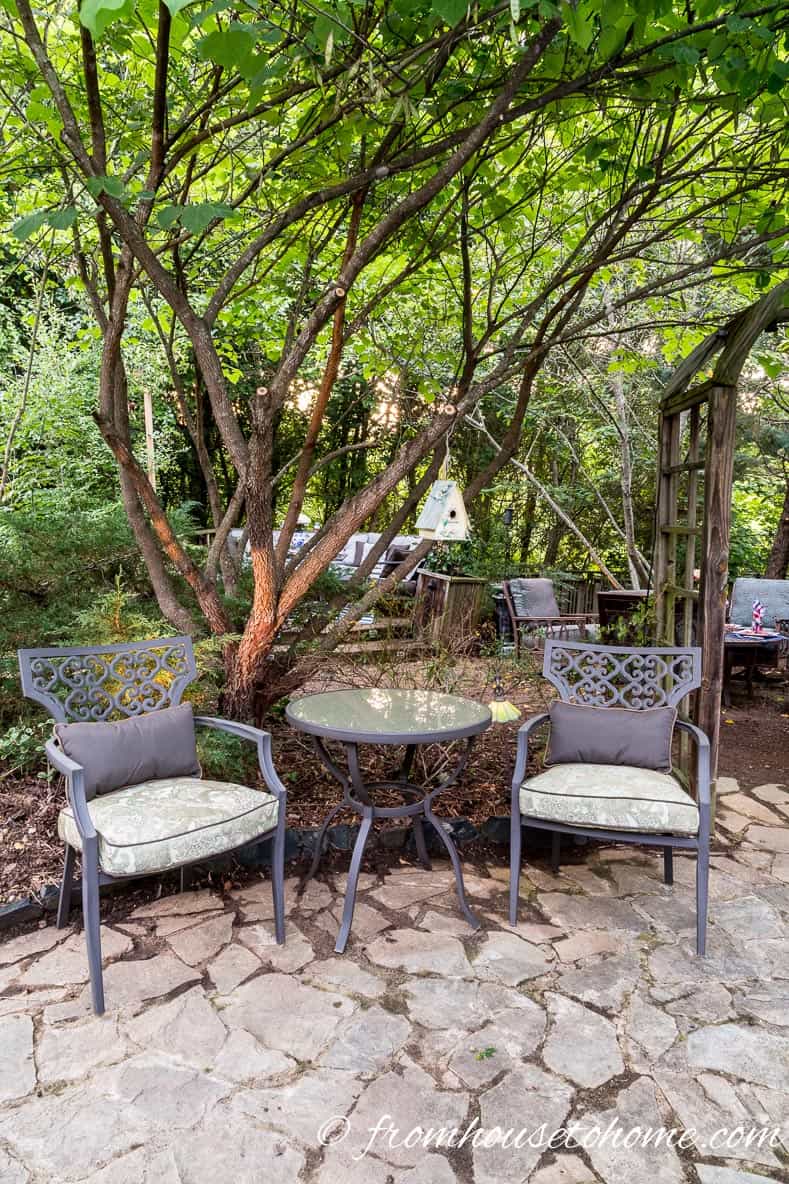 Redbud tree grows tall enough to provide shade for a small table and chairs