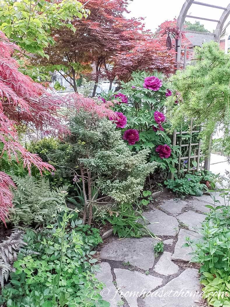 Flagstone walkway in front yard