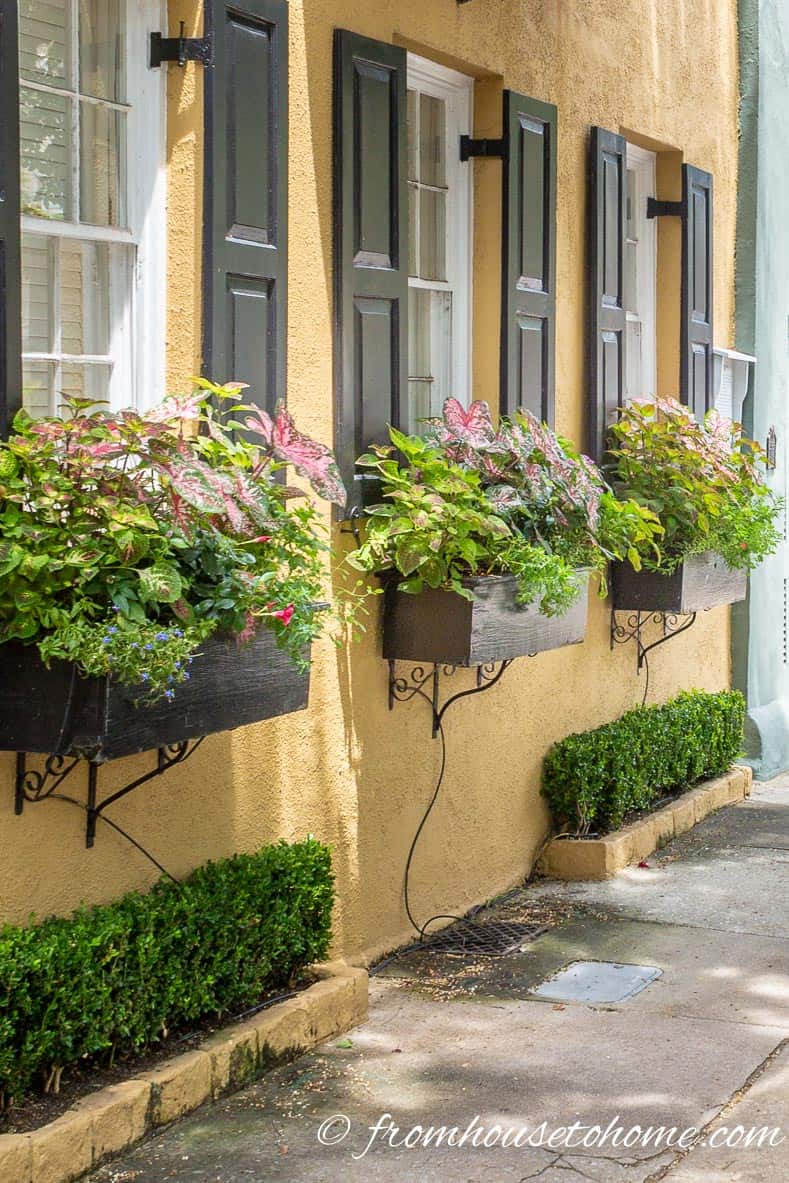 Window boxes in shade on the Battery in Charleston