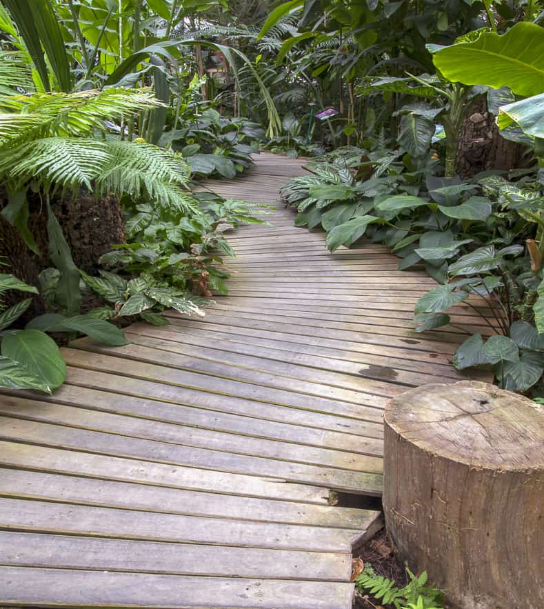 Wood garden path | © scenery1 - stock.adobe.com