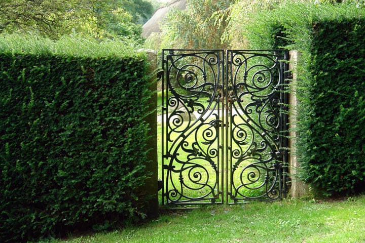 Black wrought iron gate in green hedge