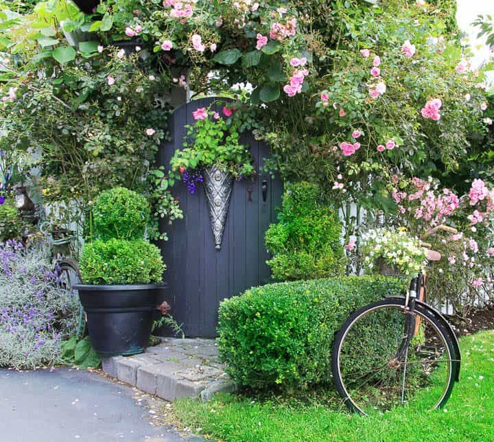 Arched garden gate in arbor covered in roses