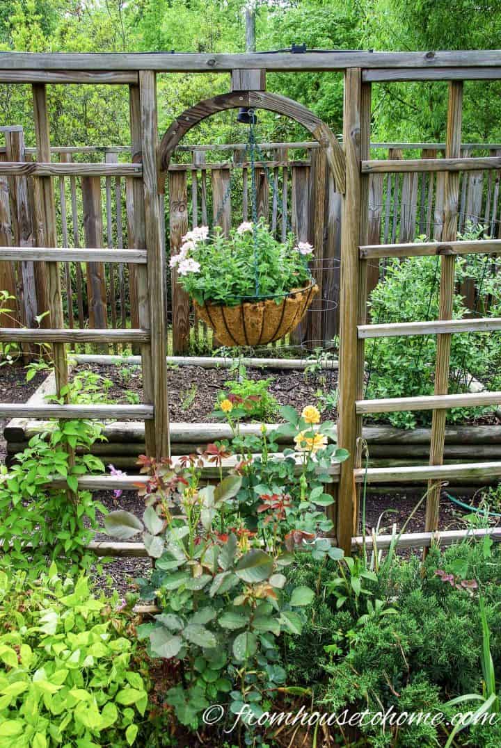 Privacy screen separates the flower garden from the vegetable garden