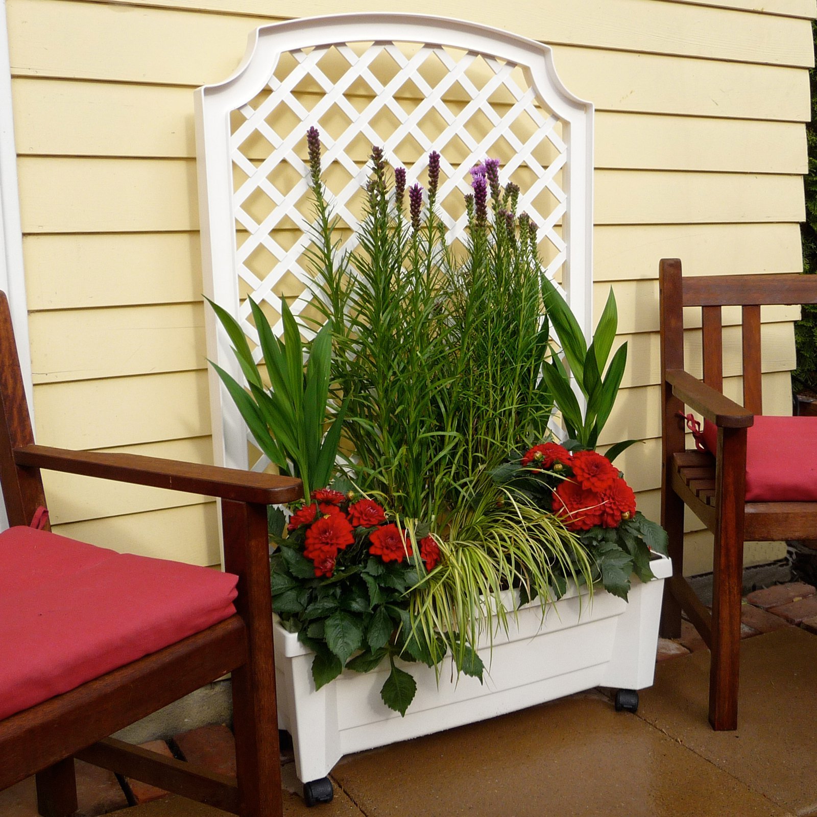 Planter trellis privacy screen on wheels