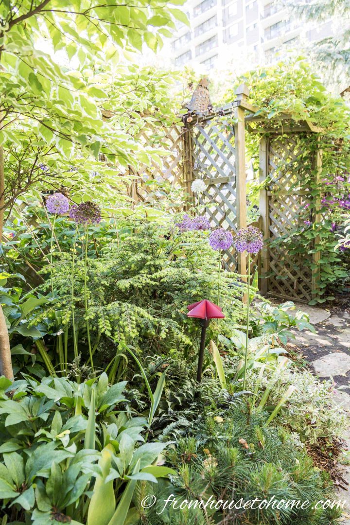 Deciduous and evergreen bushes make an interesting backyard privacy screen