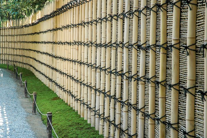 Curved bamboo privacy fence with bamboo posts