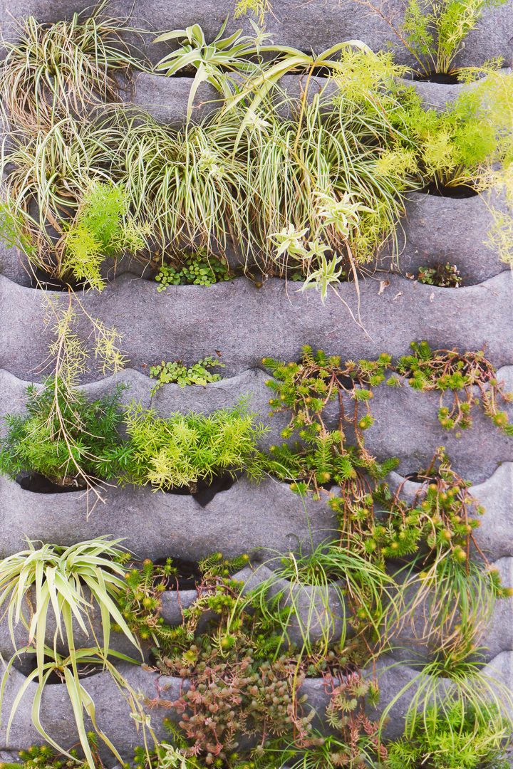 Felt pocket vertical garden