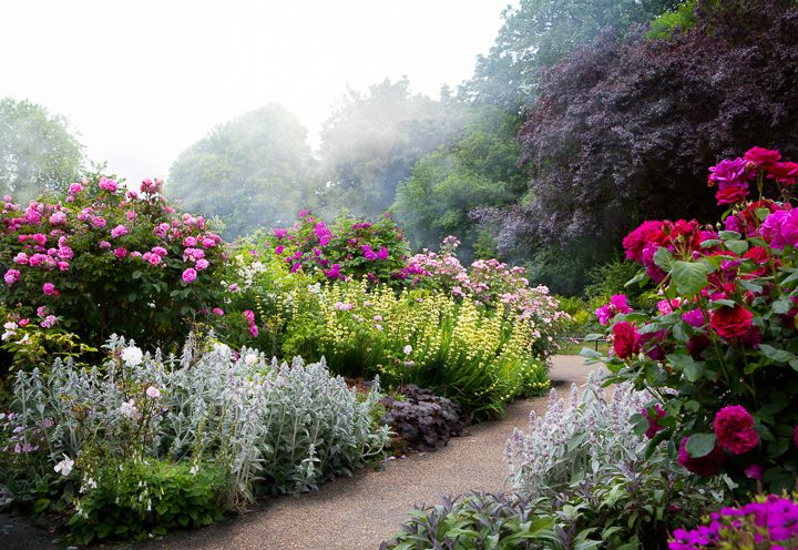 Layers of flowers in an English garden ©Konstiantyn - stock.adobe.com