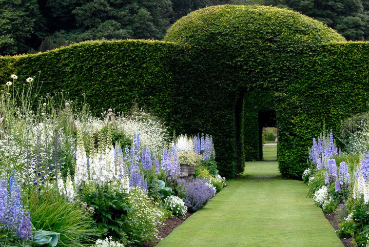 Blue and white flower garden color scheme at Levens Hall