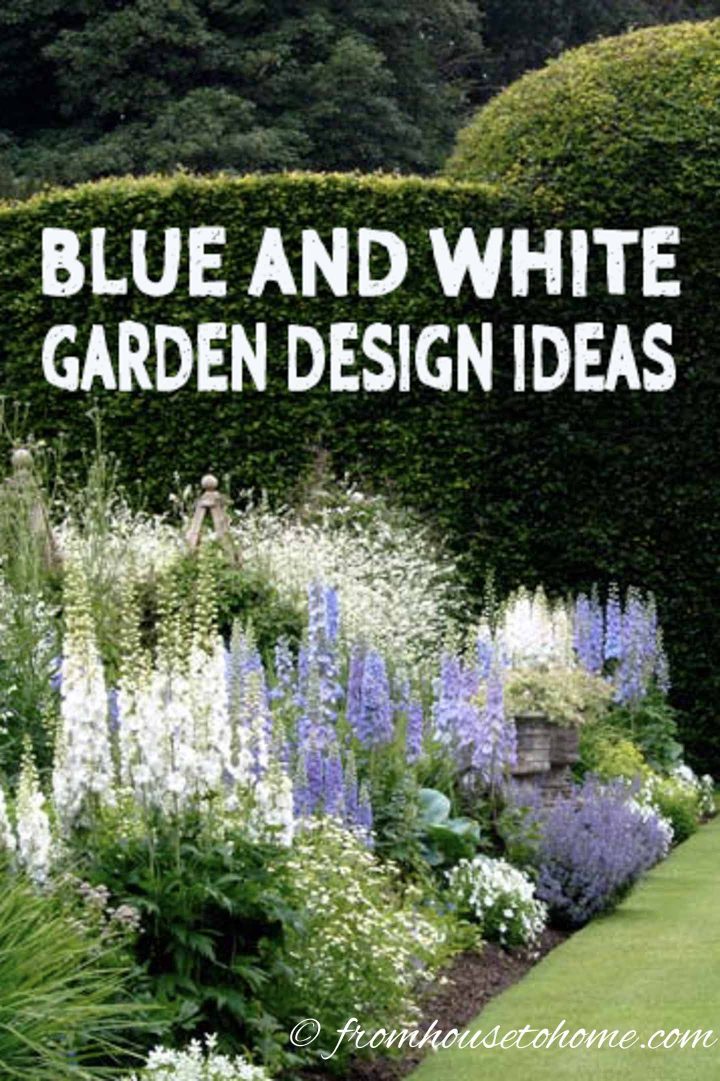 Blue and white garden design