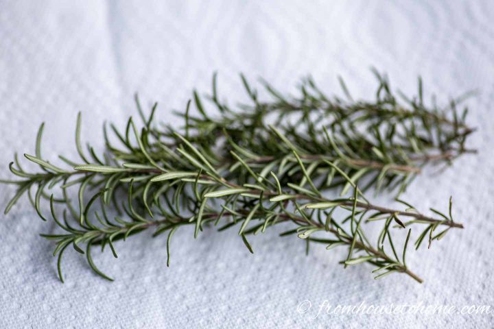 Fresh rosemary