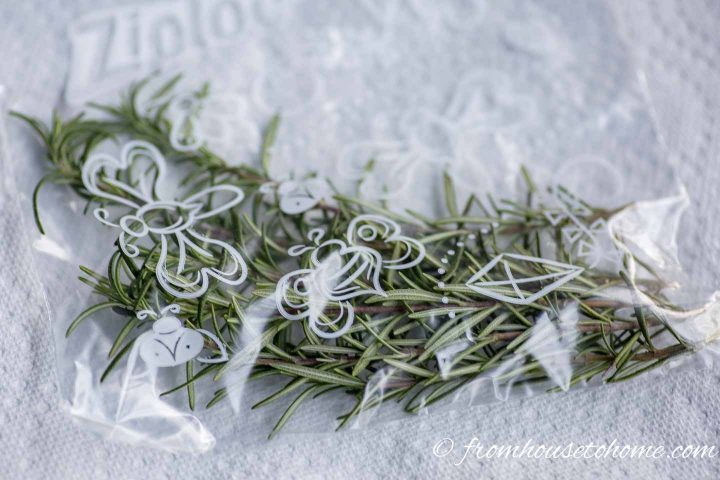 Fresh rosemary in a Ziploc bag