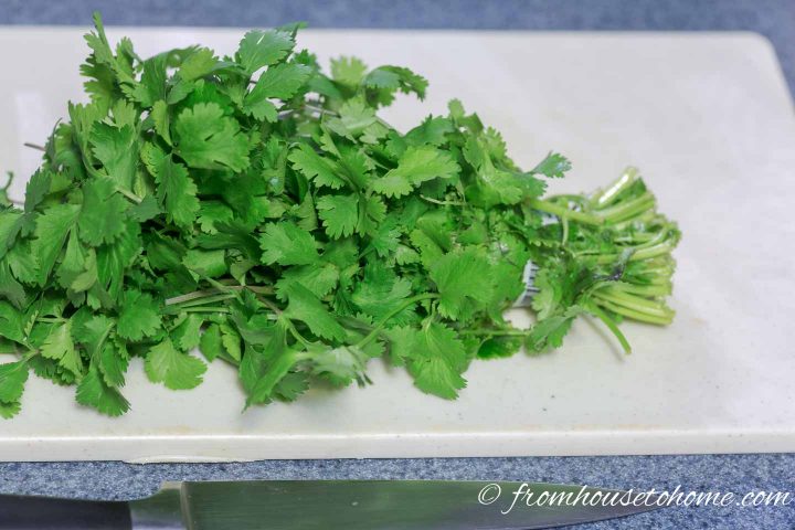Fresh Cilantro on cutting board