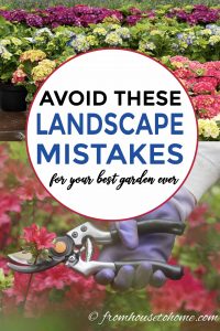 landscaping mistakes to avoid