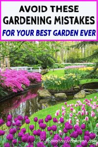 gardening mistakes to avoid