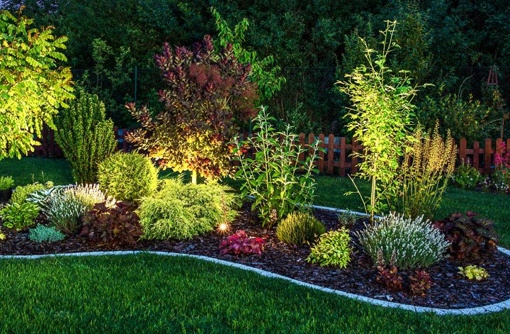 Garden at night with landscape lighting ©Tomasz Zajda - stock.adobe.com