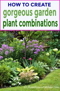how to create gorgeous garden plant combinations with color