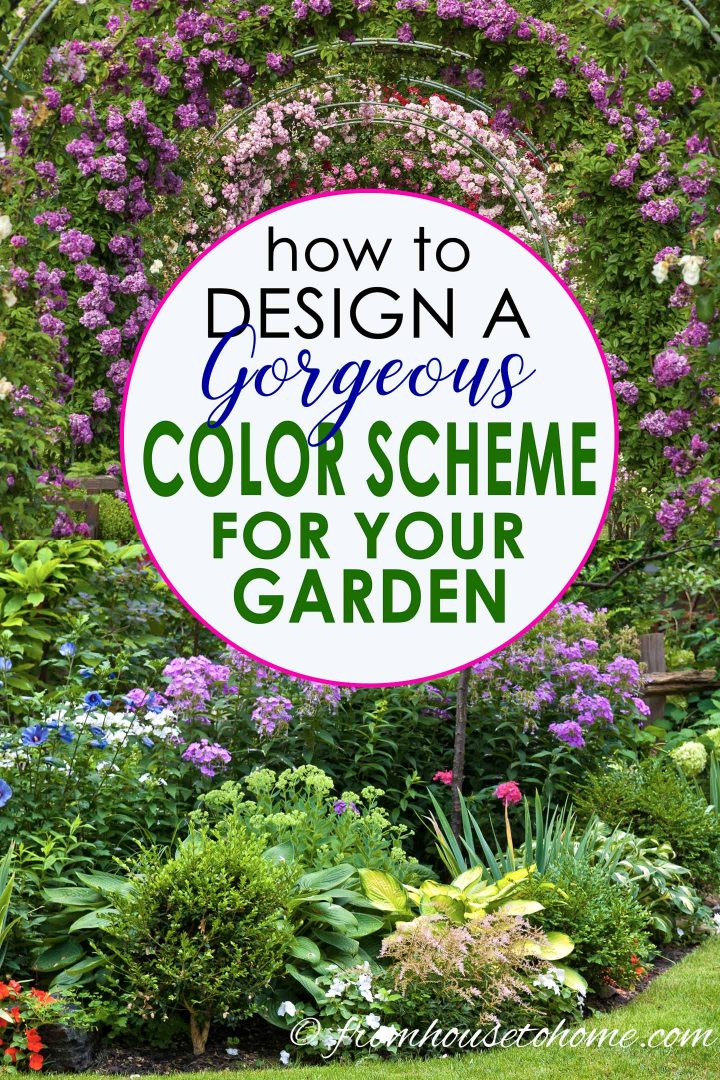 Gorgeous Garden Color Schemes
