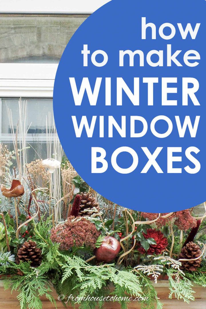 How to make winter window boxes with evergreens and dried flowers
